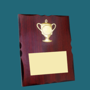 WT 032 ,033, 034 ( 8*10 in )