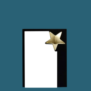 WT 014 (5.5 , 7.4 in)