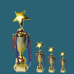 FT 532 ( 11,12,13in )