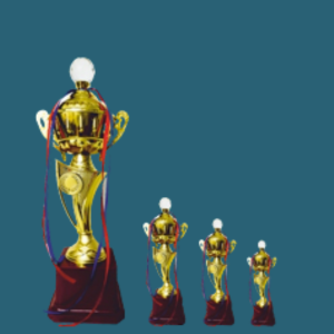 FT 529 ( 15,16,17 in )