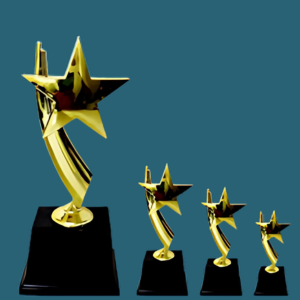 FT 571 ( 8 ,9,10 in )