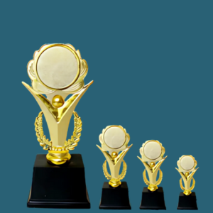 FT 569 ( 8,9,10 in )