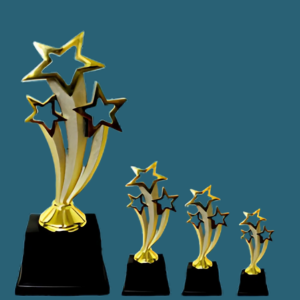 FT 568 ( 8,9,10 in )