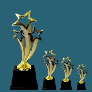 FT 568 ( 8,9,10 in )