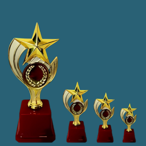 FT 595 (7.5,8.5,9.5 in)