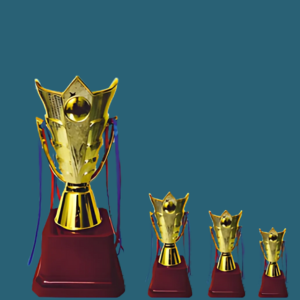 FT 517 ( 9,11 .5 , 13 in )