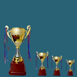 FT 589 (12,13.5,15.5 in)