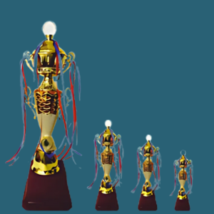 FT 528 ( 17, 19.5, 22 in )