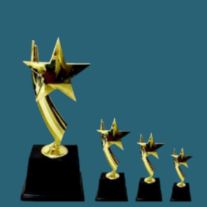 FT 601 ( 8,9,10 in )