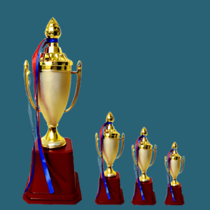 FT 531 ( 10,11,12 in )