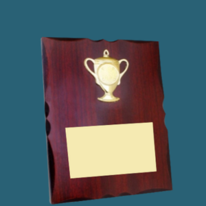 WT 031(6*8,8.10,9.5*12 in )