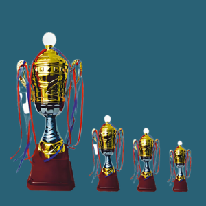 FT 508 ( 14,16,18 in )