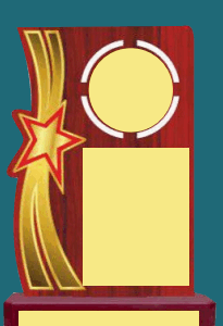 WT 108 ( 9.5,10.5,11.5)