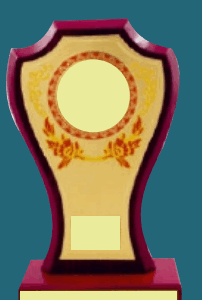 WT: 114 (6.2,7,7.2 in )